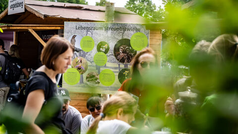 Abtauchen ins Grüne - das geht auch auf dem Hessentag.